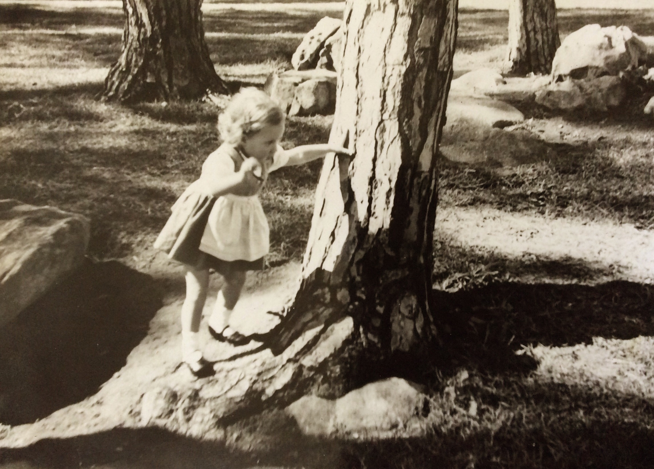 Ilona in Highlands Estate Park,....in German Dirndl dress....present from her great grandmother in Germany ...1961