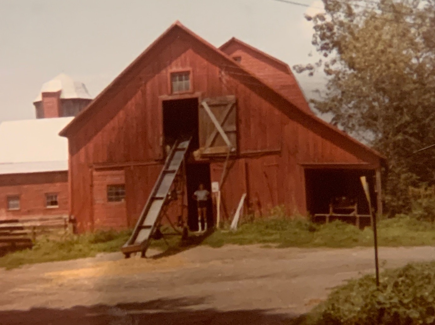 The barn at the weed farm 1980