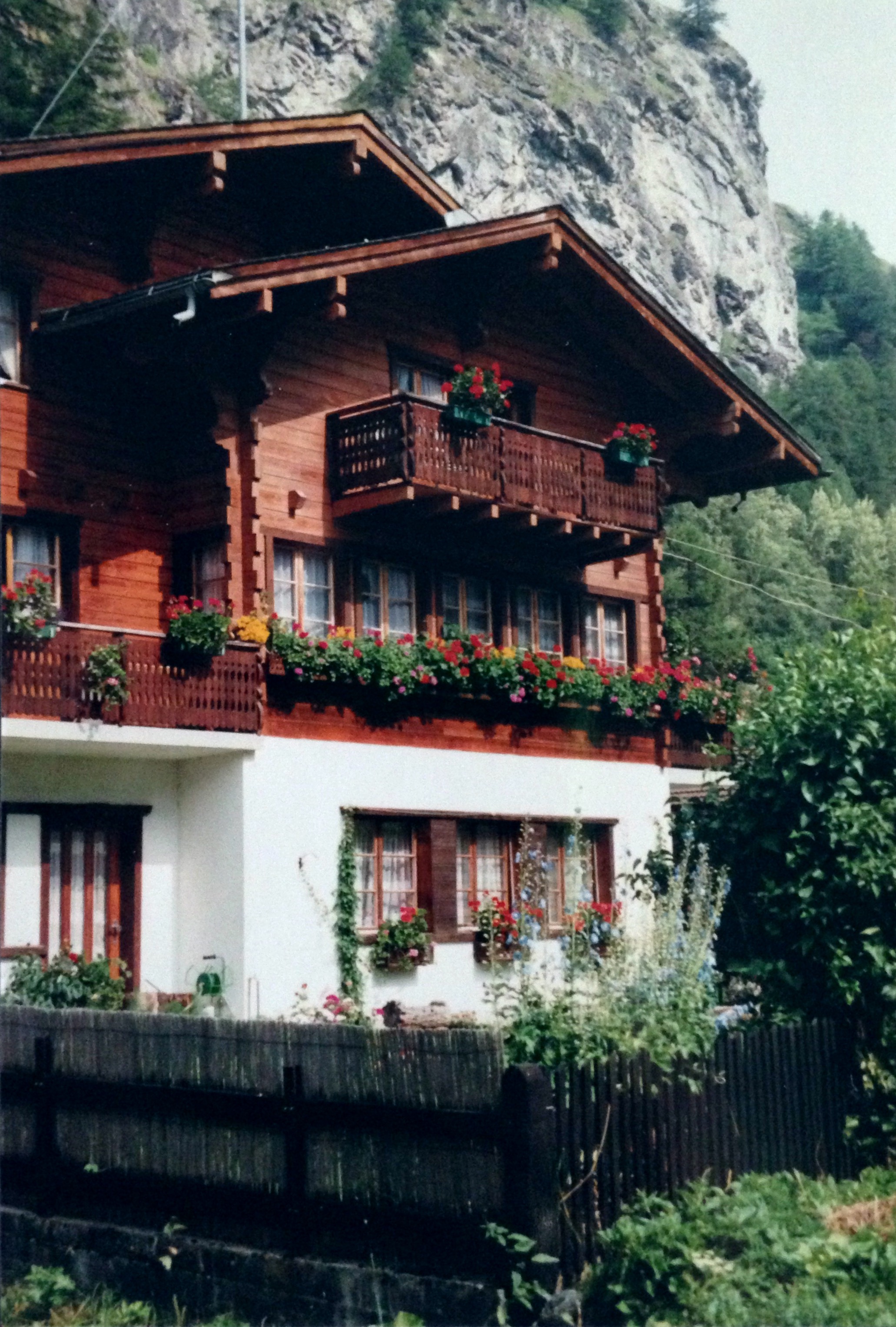 Zwitserland 1991