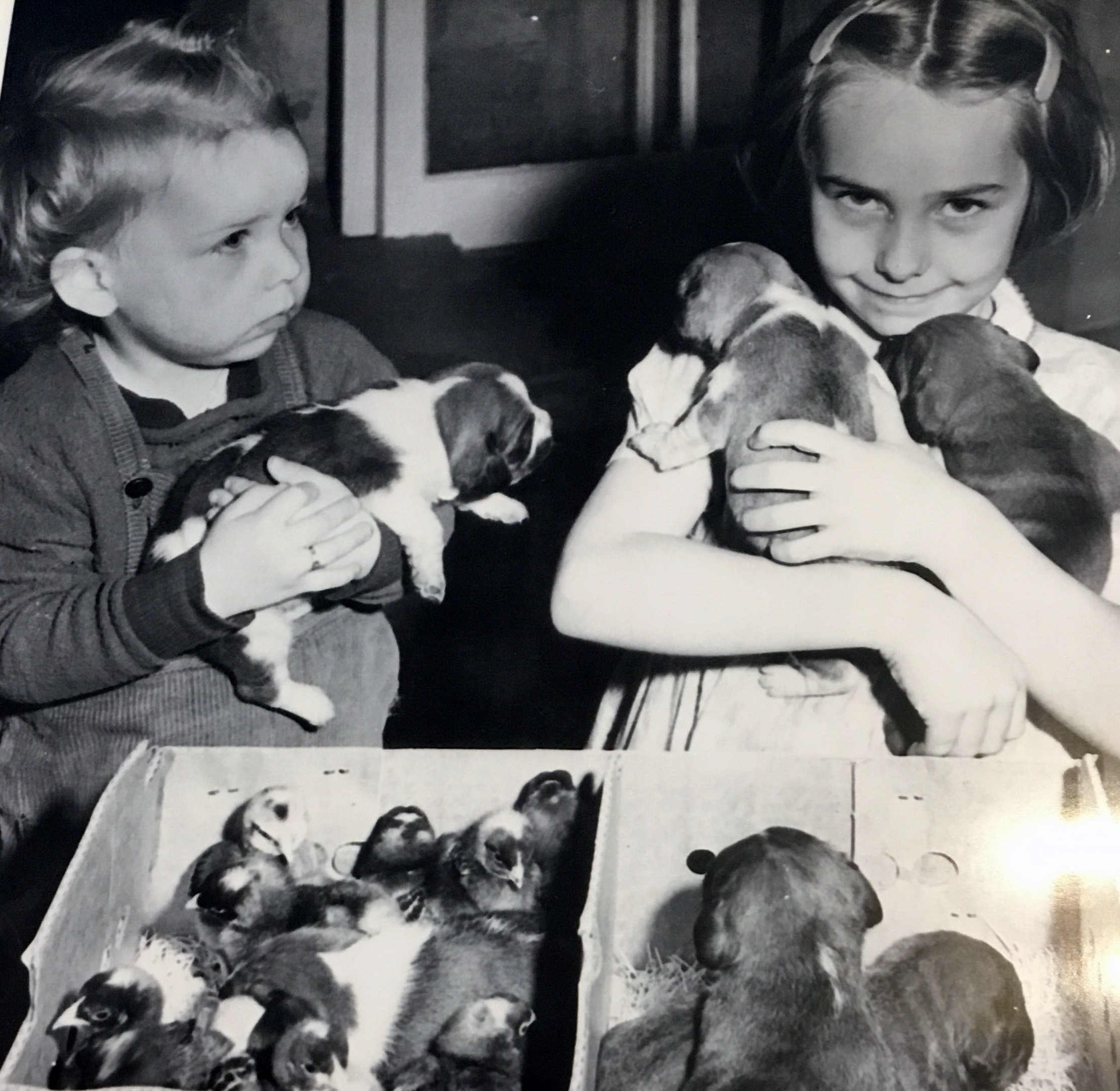 Bette and Joy Buck with puppies and chicks in the K-W Record 1946.  Bette was 2 and I was 6.