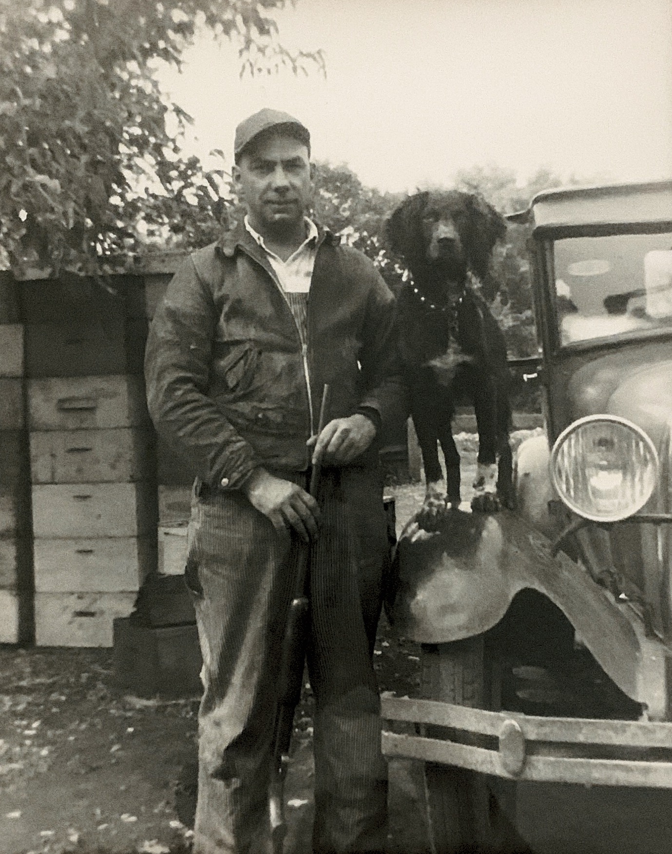 Frederick Williams with Dixie (she died of pneumonia at the end of the same year) Taken 1942 - original with his DIL Sandra Williams