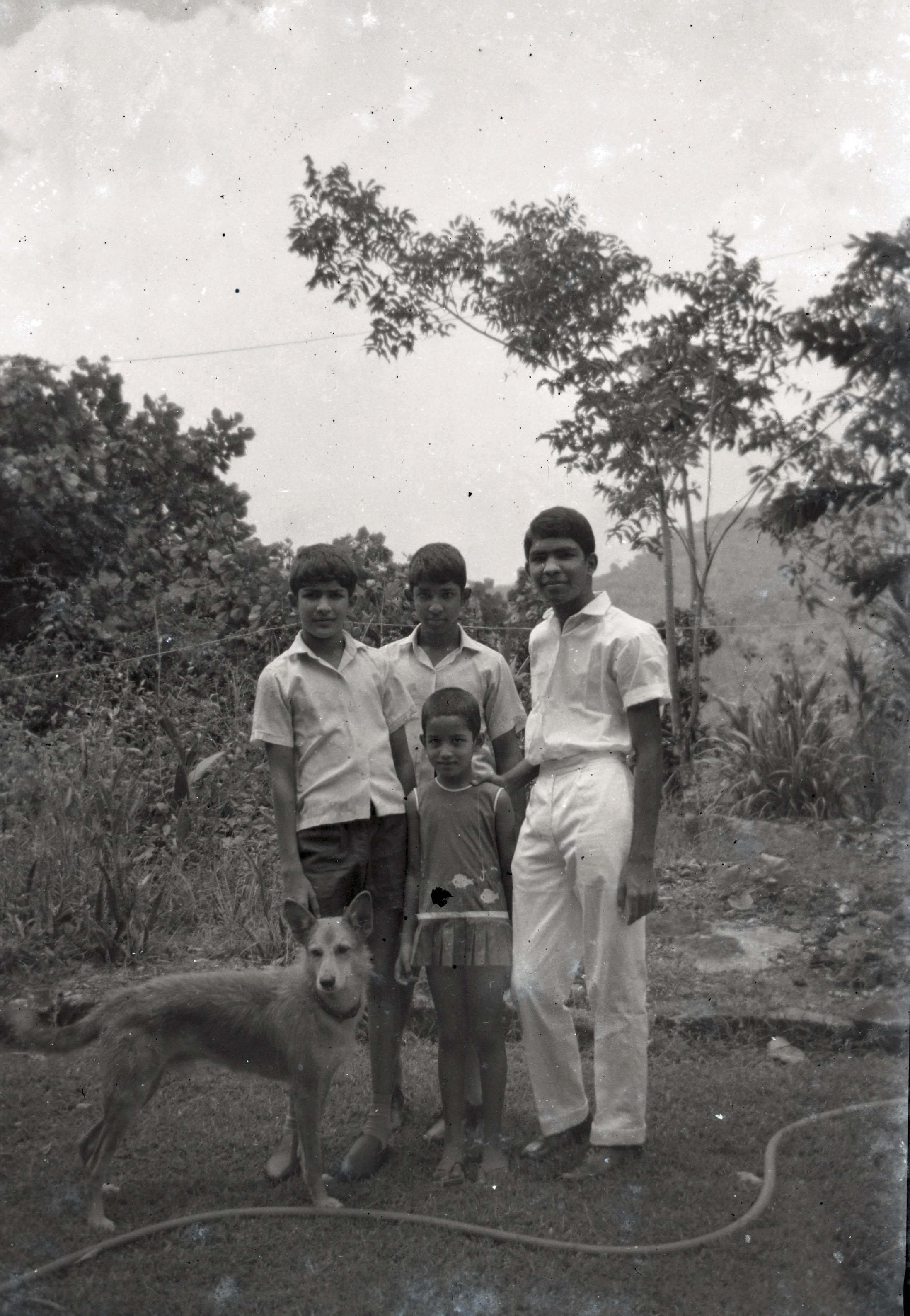 With my 3 brothers at Reucastle Estate Dehiowita in 1969