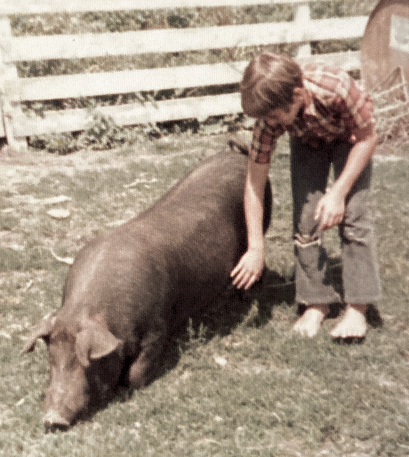 Feef with his pet pig - 1971