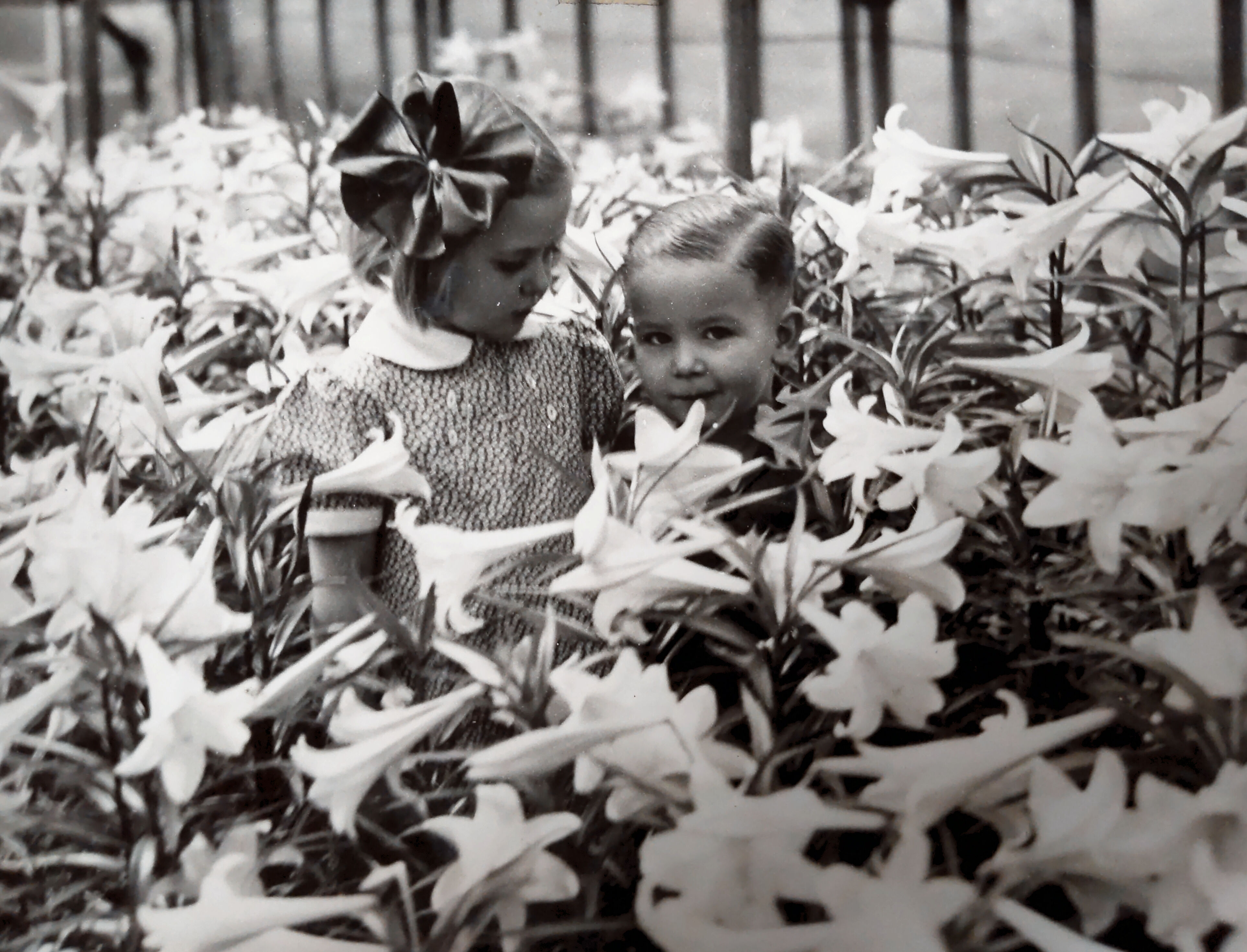 Inside the Grandpa Blaine Davis Greenhouse full of Easter Lilies, 1937. Phil is 3 and Caroline is 6.