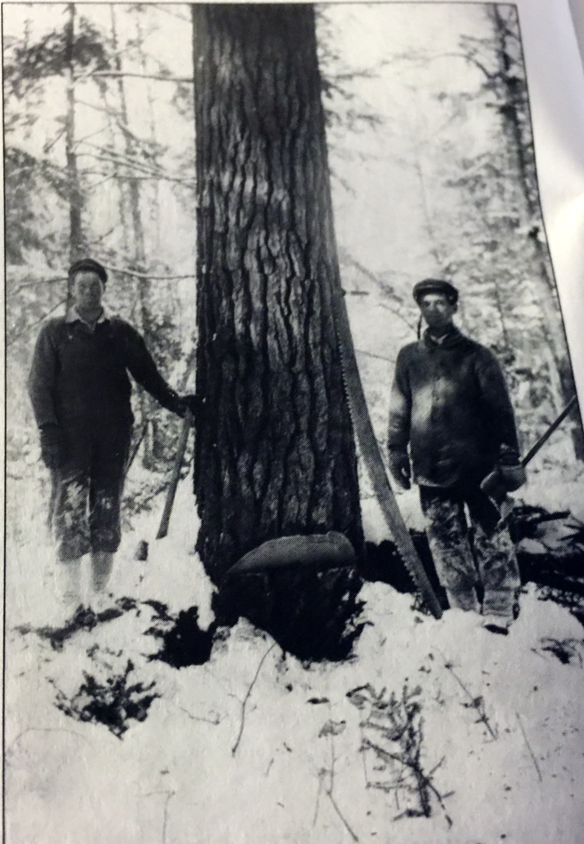 Ross Williams (left) and Clyde Morris (right) at Ward Camp, Lemon Lake  in 1905.